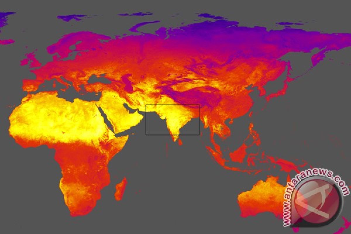 40 orang meninggal akibat cuaca panas di India Timur