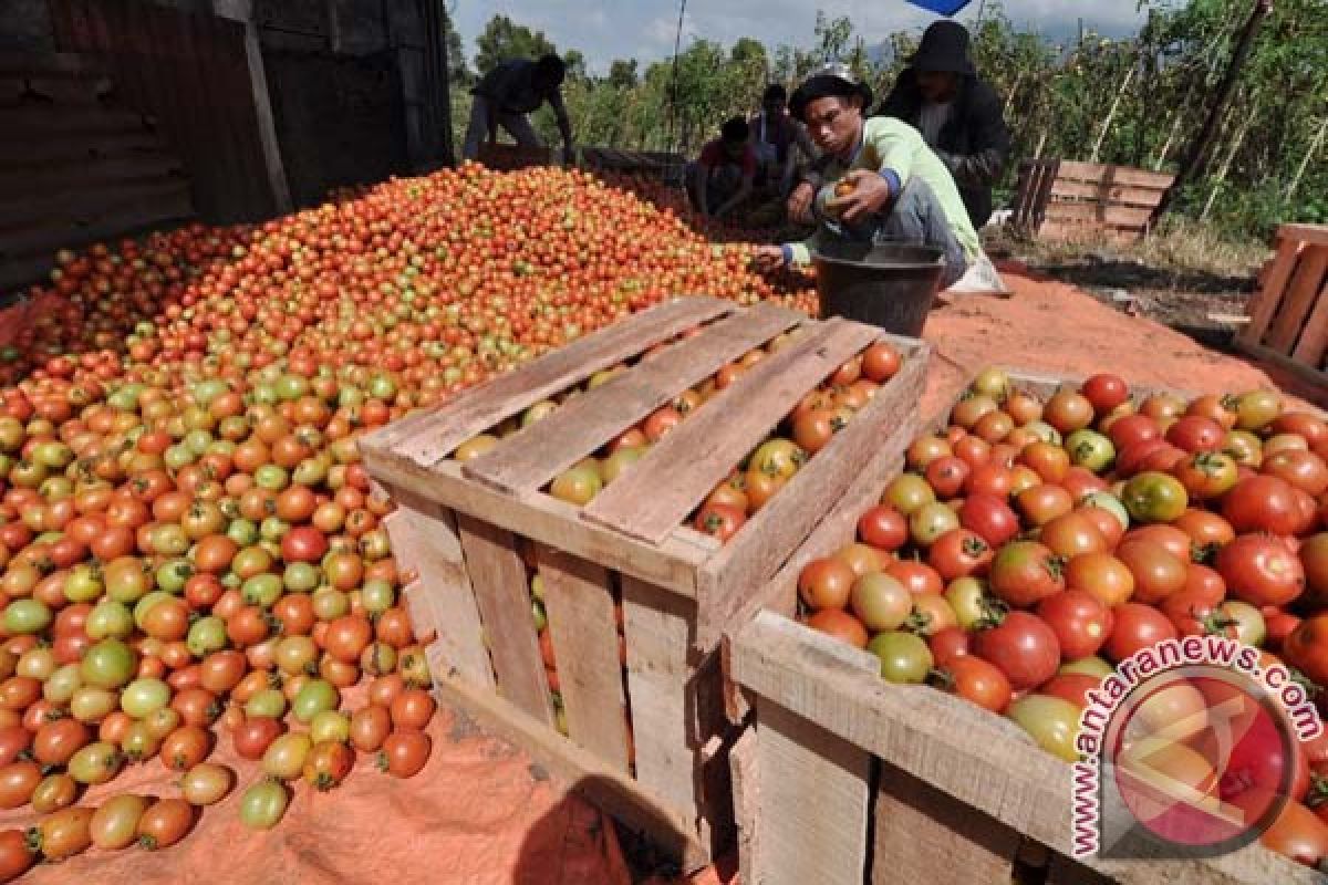 Mentan tawarkan kebijakan akses percepatan kredit petani