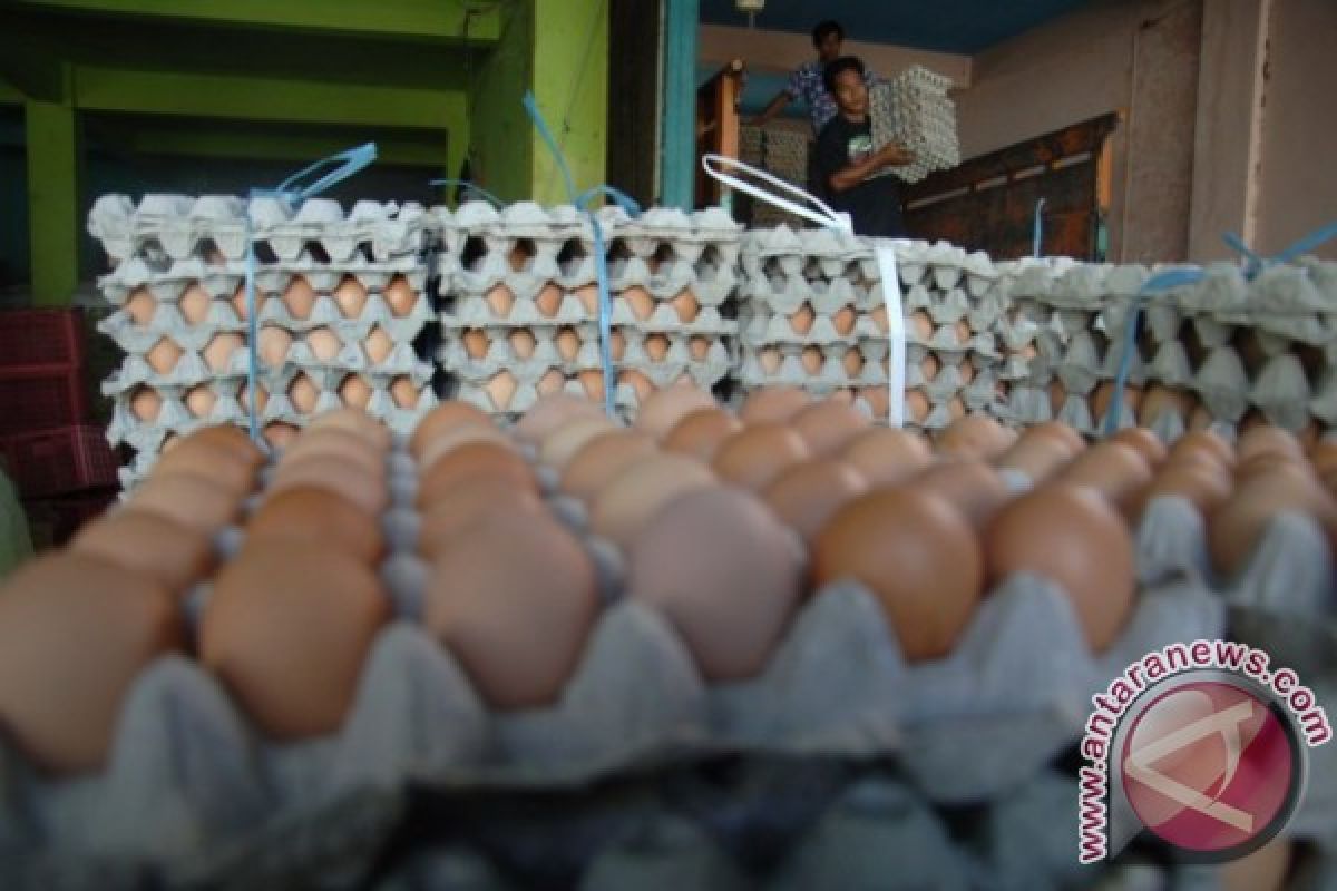 Bulog Tulungagung Siaga Operasi Pasar Telur