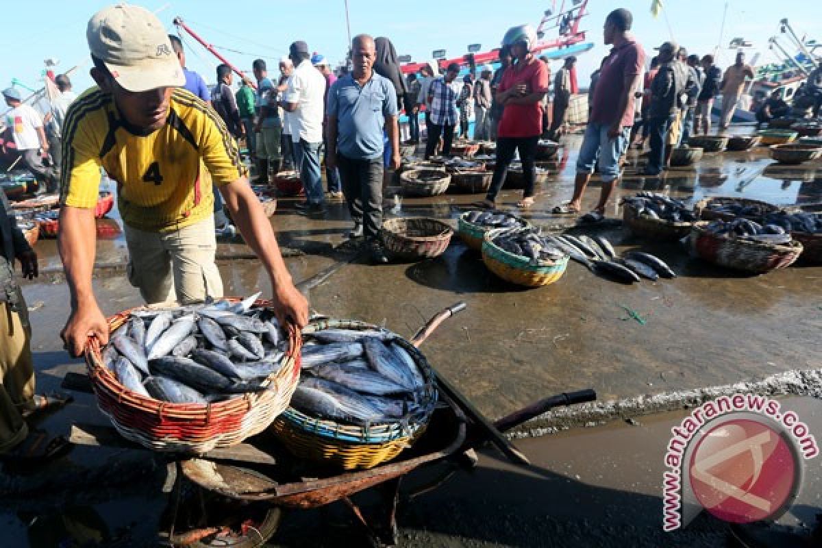 Fishery Day observed with spirit to eat more fish