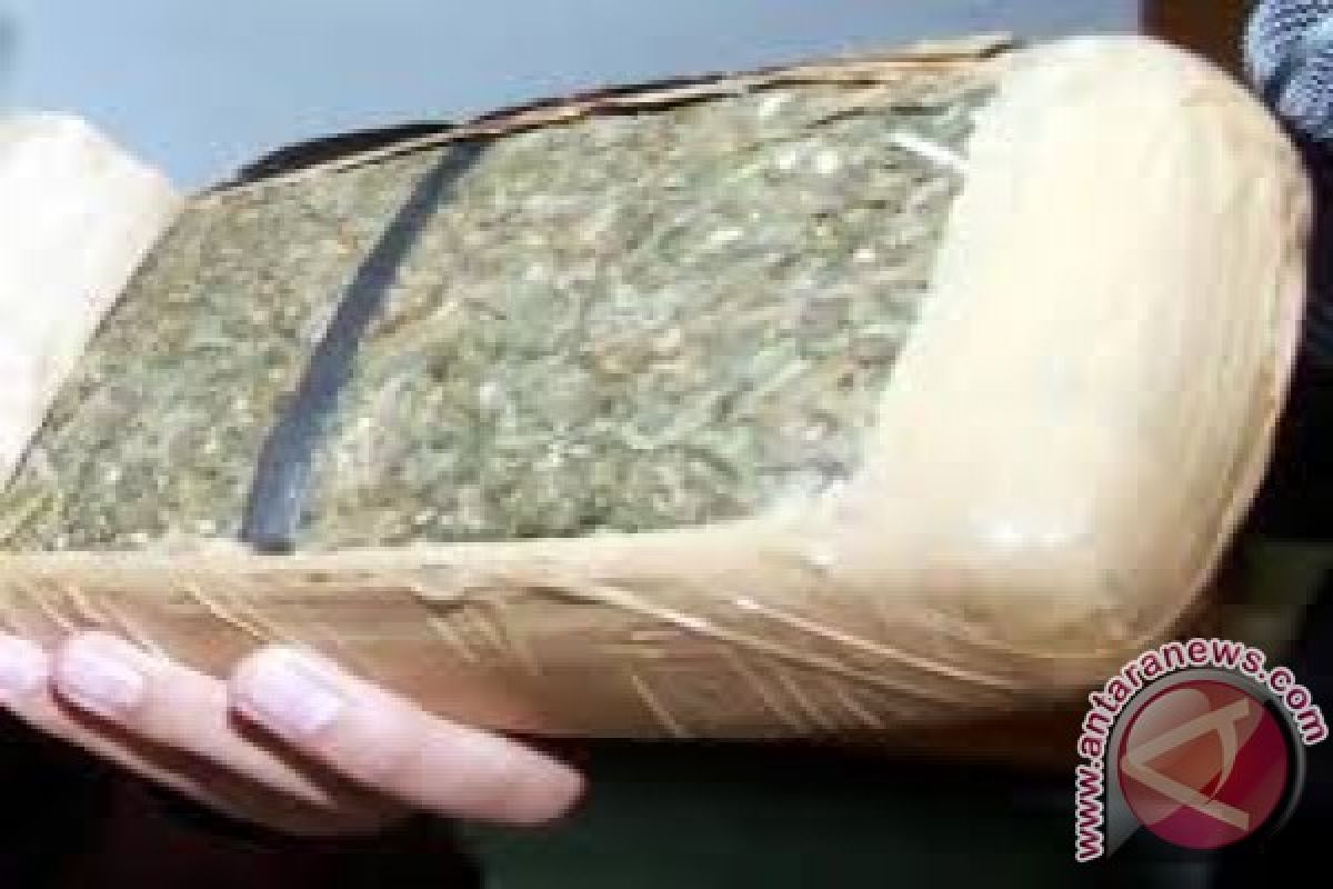 Polisi selidiki pengirim ganja lewat paket penerbangan