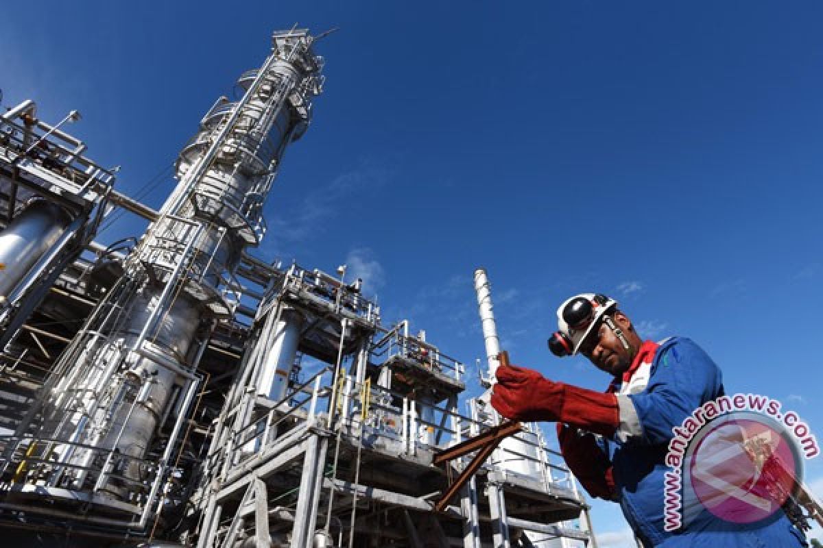 Harga minyak kembali naik, OPEC bakal pangkas produksi