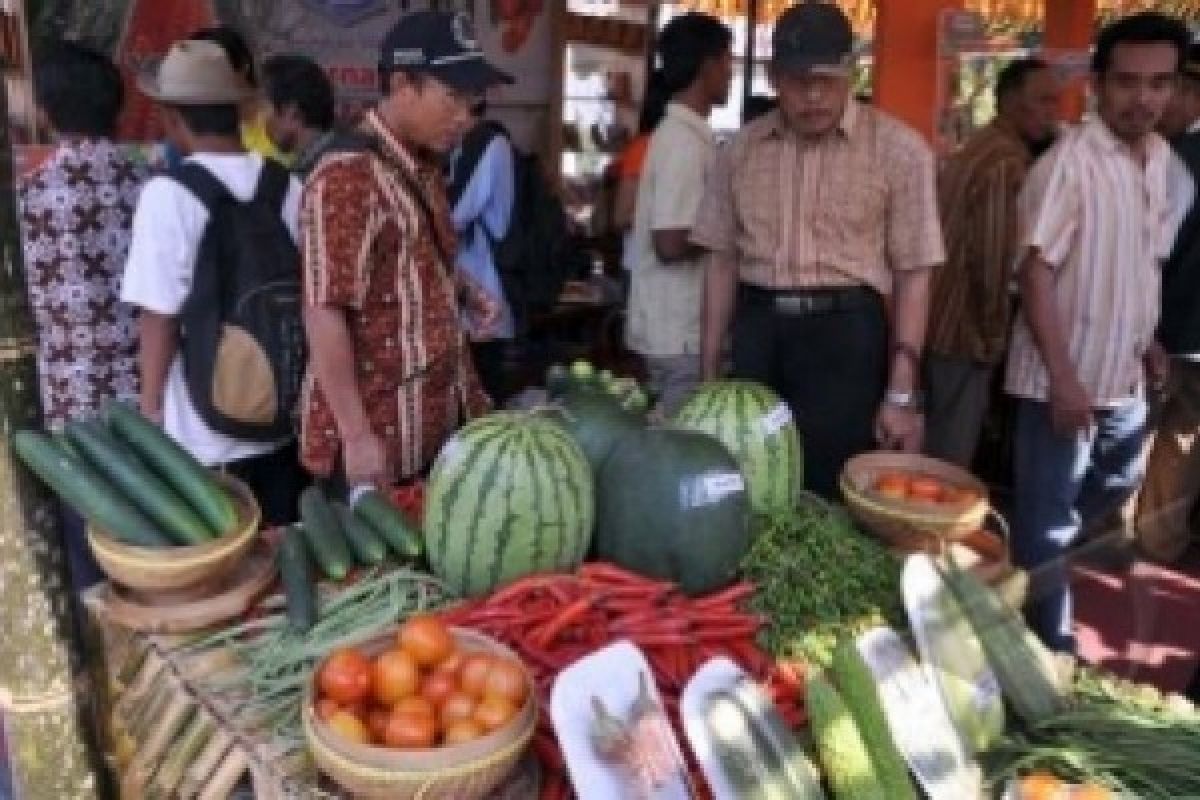 Nilai Transaksi Soropadan Agro Expo Rp19,1 Miliar