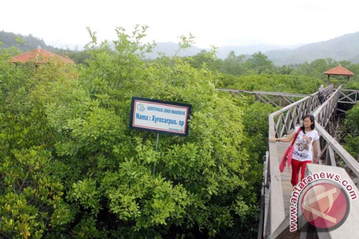 Pokmaswas Mulai Batasi Kunjungan Wisata Konservasi Mangrove