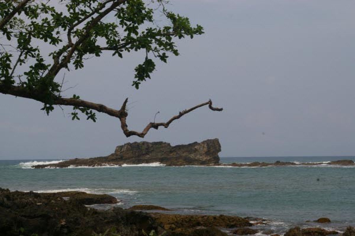 Pulau Manuk dijadikan objek wisata ilmiah 