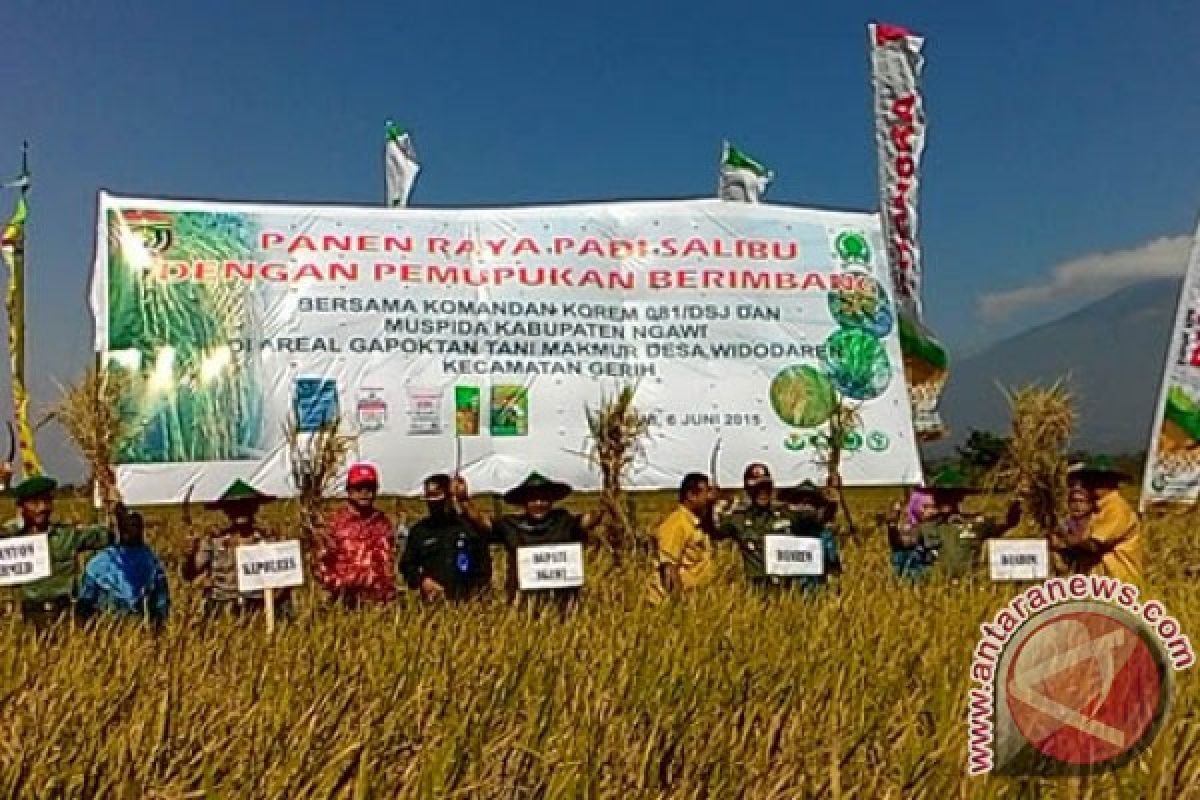 Ngawi Tingkatkan Produktivitas Padi dengan Sistem Salibu