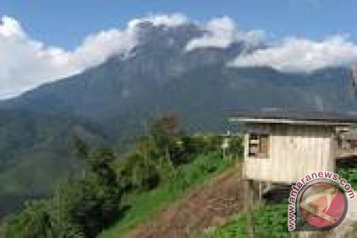 Gempa di Kinabalu Tewaskan Sedikitnya 16 Orang