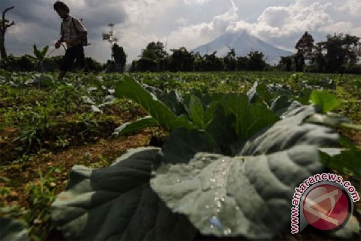 Jepang diajak investasi pada tiga sektor di Sumatera Utara