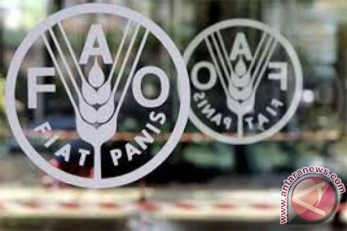 FAO puji kemajuan pertanian Indonesia