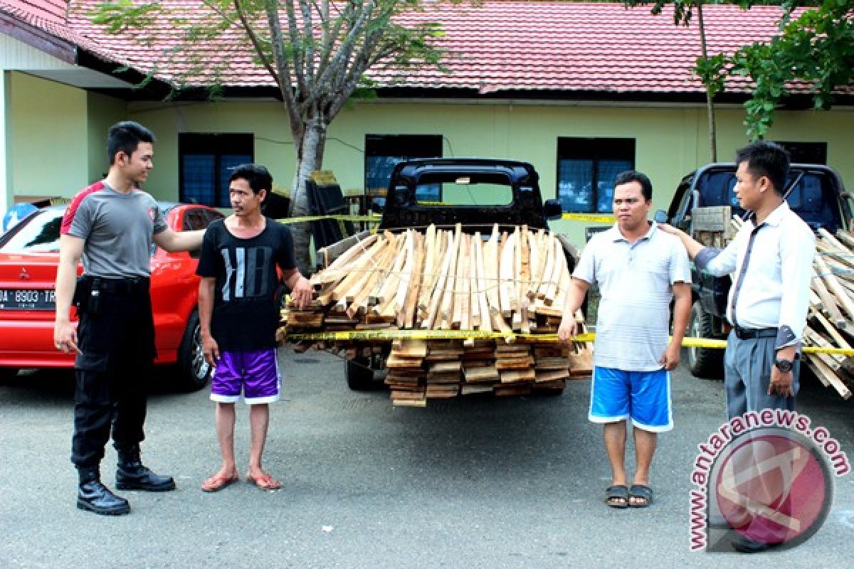 Dishut Kotabaru Amankan 20 Kubik Ulin Ilegal