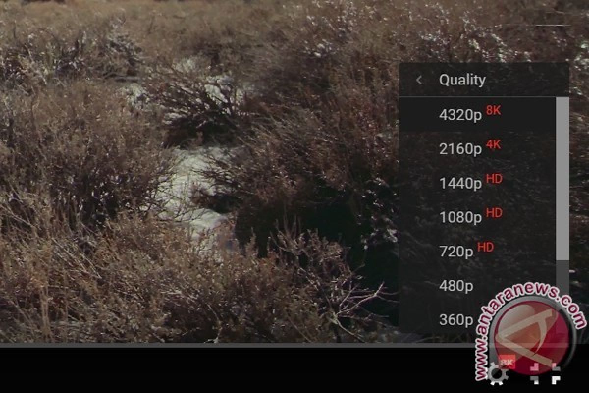 YouTube Kini Sajikan Tontonan Video Hingga 8K