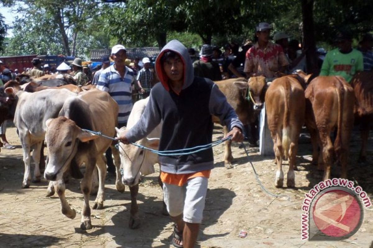 Menteri Pertanian Tetapkan Sapi Bojonegoro Benih Unggul