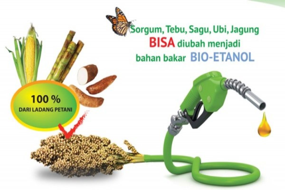 Pemkab Keerom kembangkan bahan bakar bio etanol