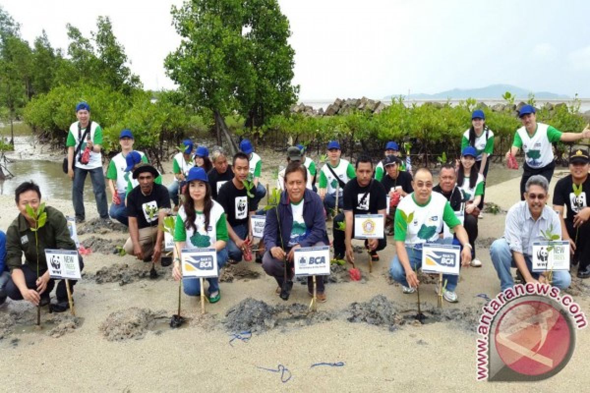 BCA - WWF Indonesia Tanam Mangrove