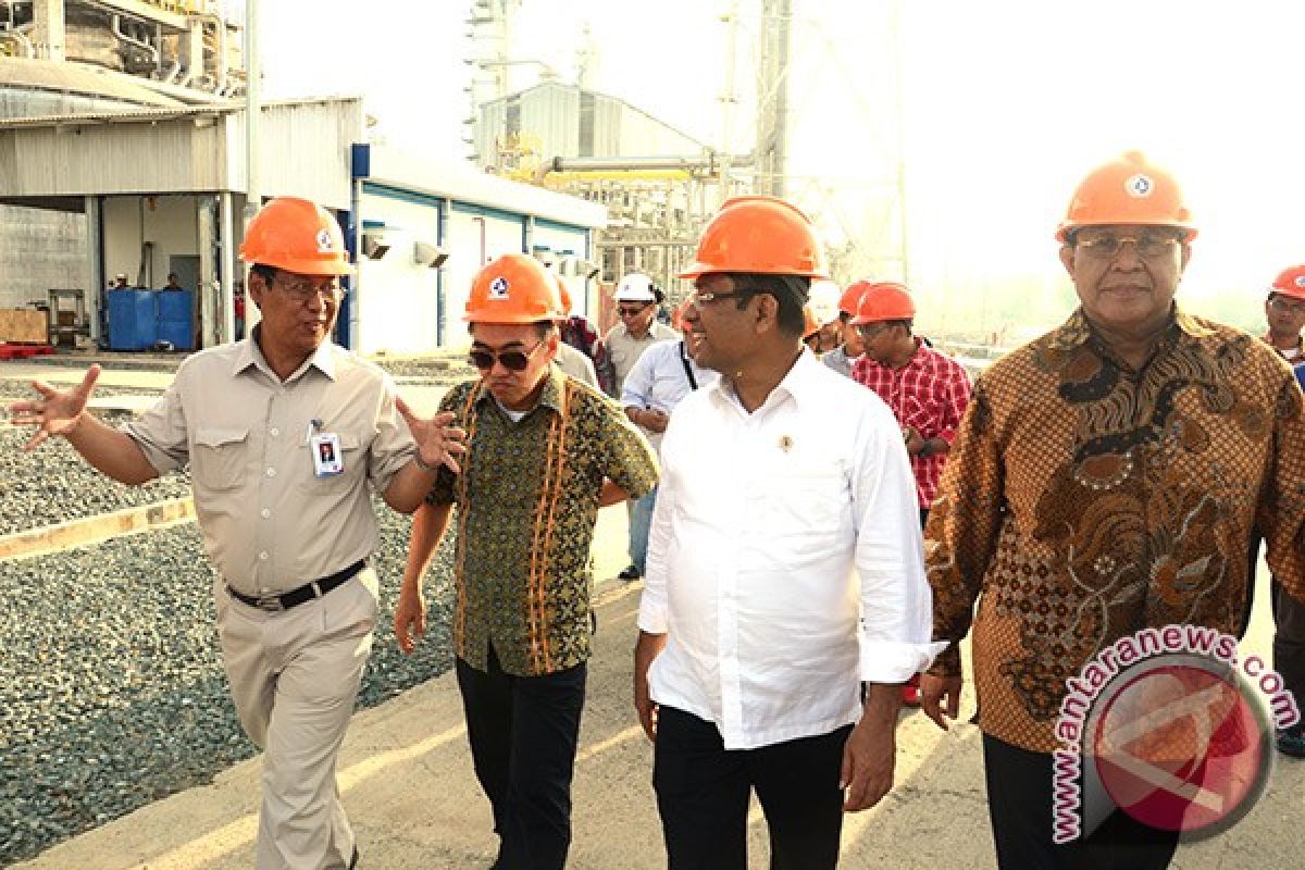Amonia dan pupuk magnet industri di Indonesia Timur