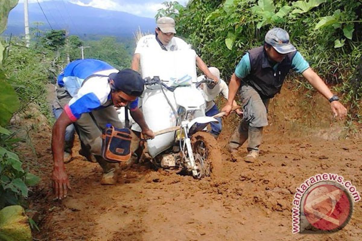 Harga kopi turun Rp1.500 per KG