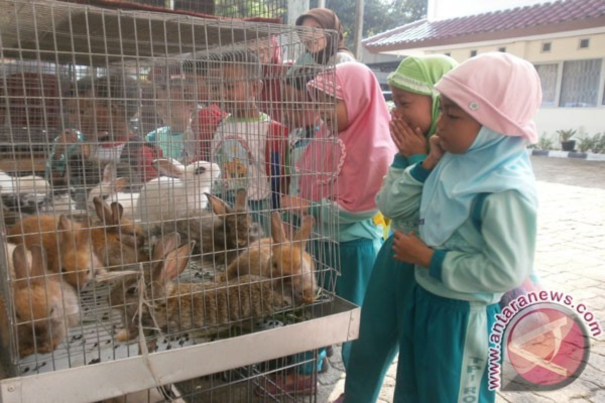 Bursa Kelinci Bogor Sarana Edukasi Masyarakat 