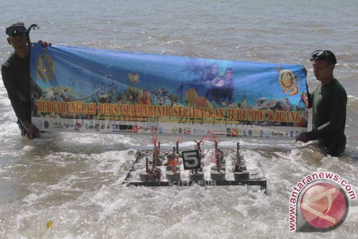 Marinir Tanam Bertahap Terumbu Karang di Pesisir Tulungagung