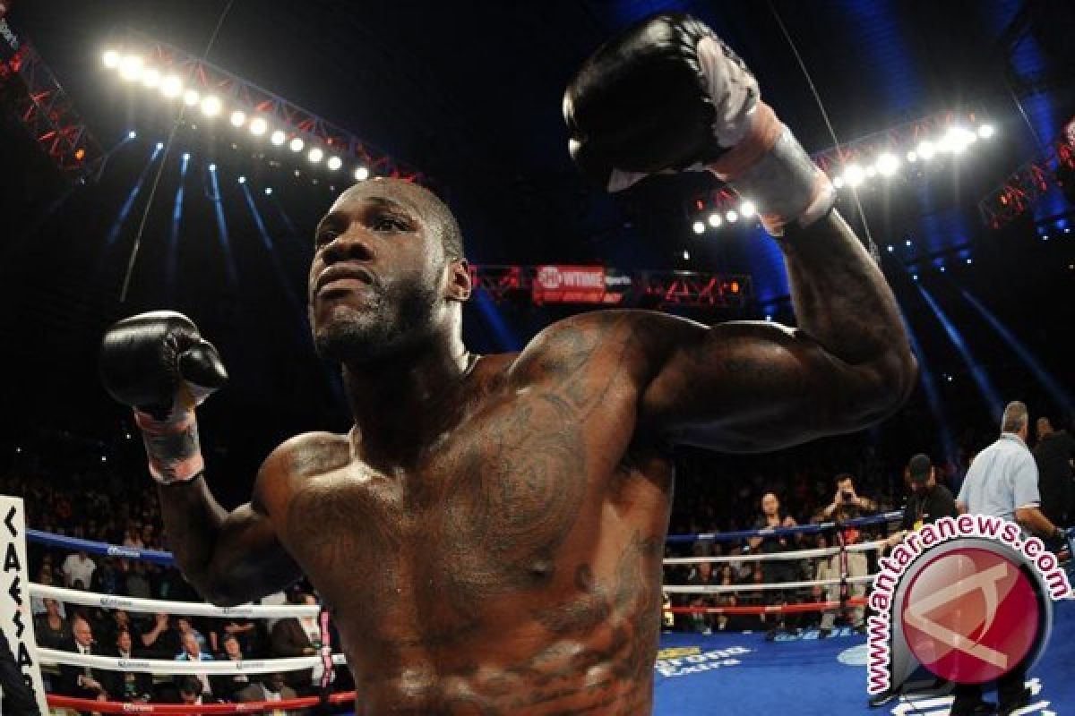  Deontay Wilder pertahankan gelar juara kelas berat WBC