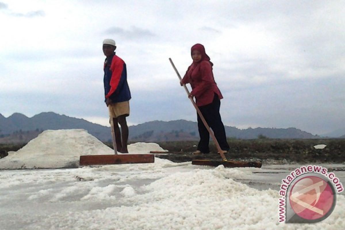 Bakorluh NTB tingkatkan kapasitas 200 kelompok perikanan