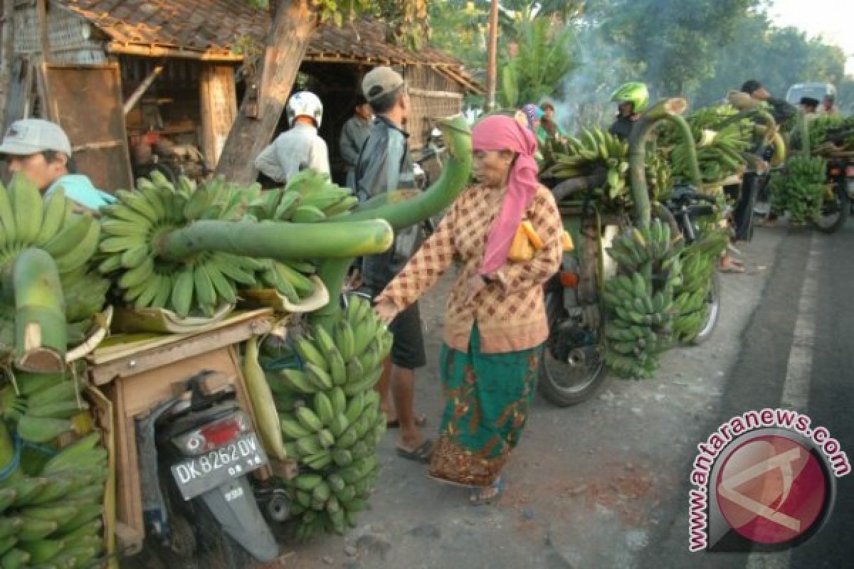 BPS: Pertumbuhan IPM Lumajang Terus Meningkat