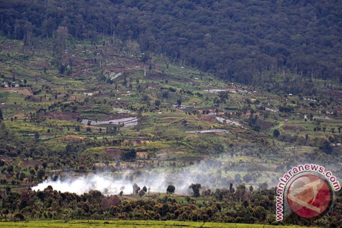 Jambi records 150 human-wildlife conflicts in past one year