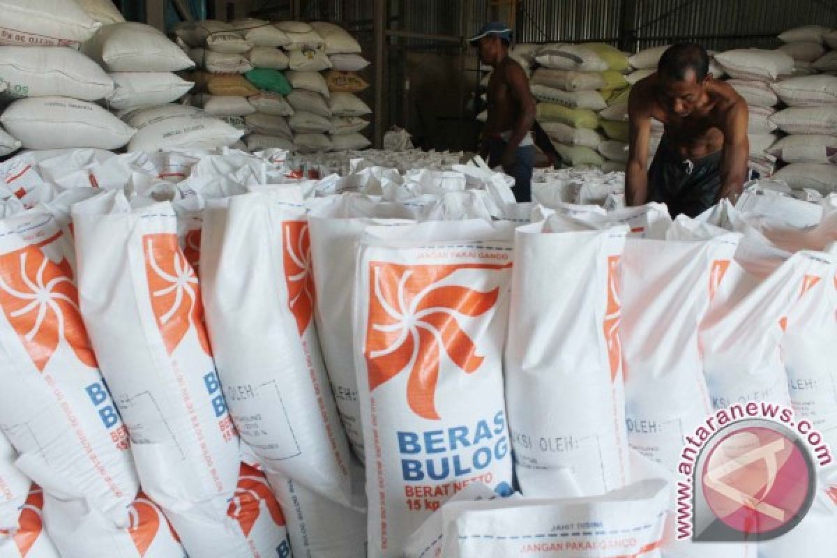 Bulog Jember Targetkan Pengadaan 75.000 Ton Beras