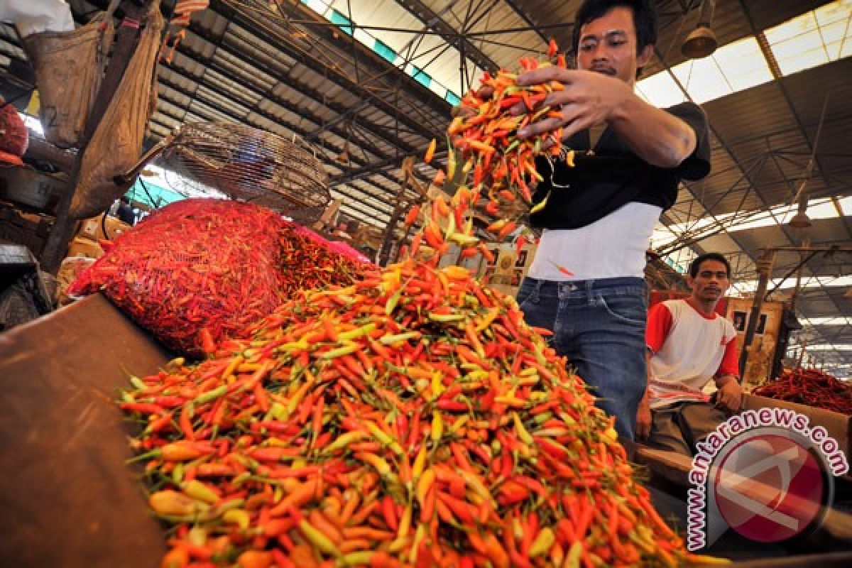 Harga cabai di Sumenep masih Rp130 ribu/kilogram