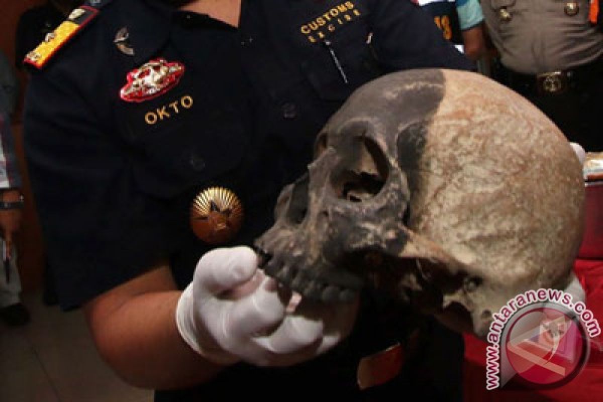 Indonesian government to investigate report on human skull smuggling