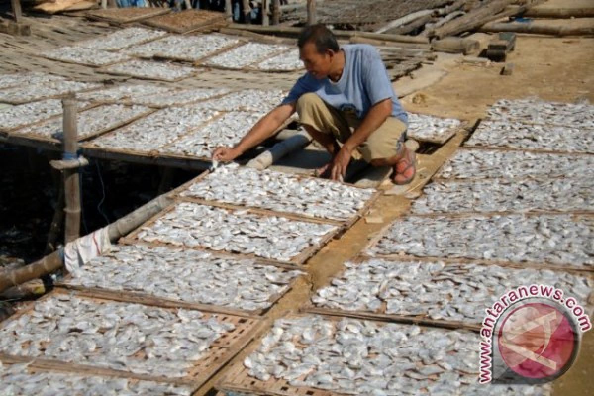 Harga Ikan Bandeng di Gresik Naik
