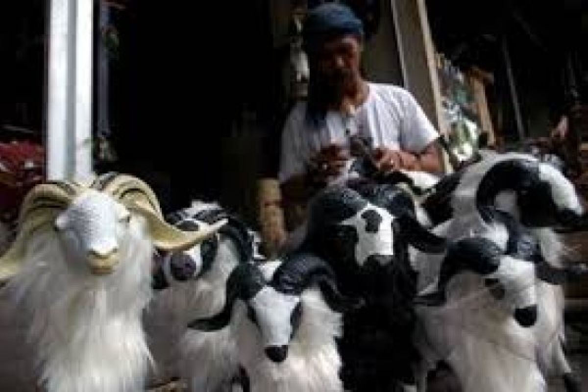 Dikembangkan Persilangan Domba Lokal-Garut