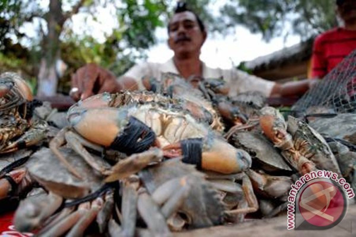 DKP Kepri: Kepiting Terancam Punah