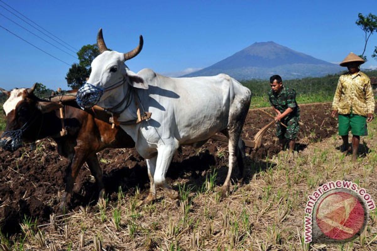 Ketua Komisi IV DPR dorong pemerintah wujudkan kedaulatan pangan