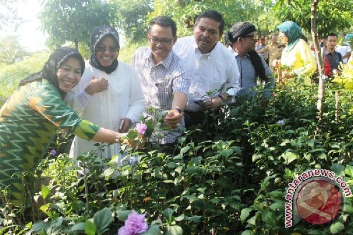 Risma Pamer Taman Harmoni ke Rombongan Senator