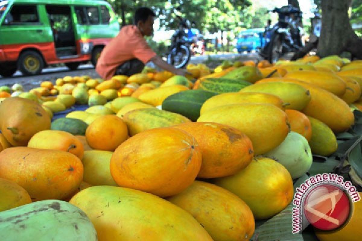 Pedagang Timun Suri Bermunculan Selama Ramadhan