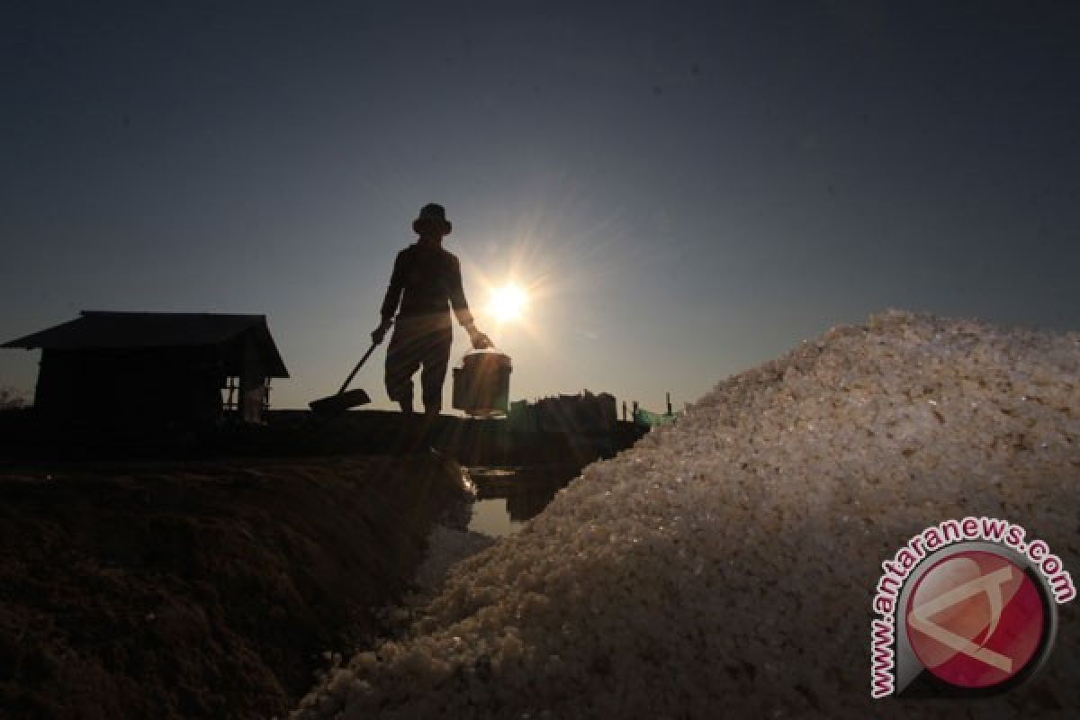 Pengamat: Pemerintah belum berpihak ke petani garam