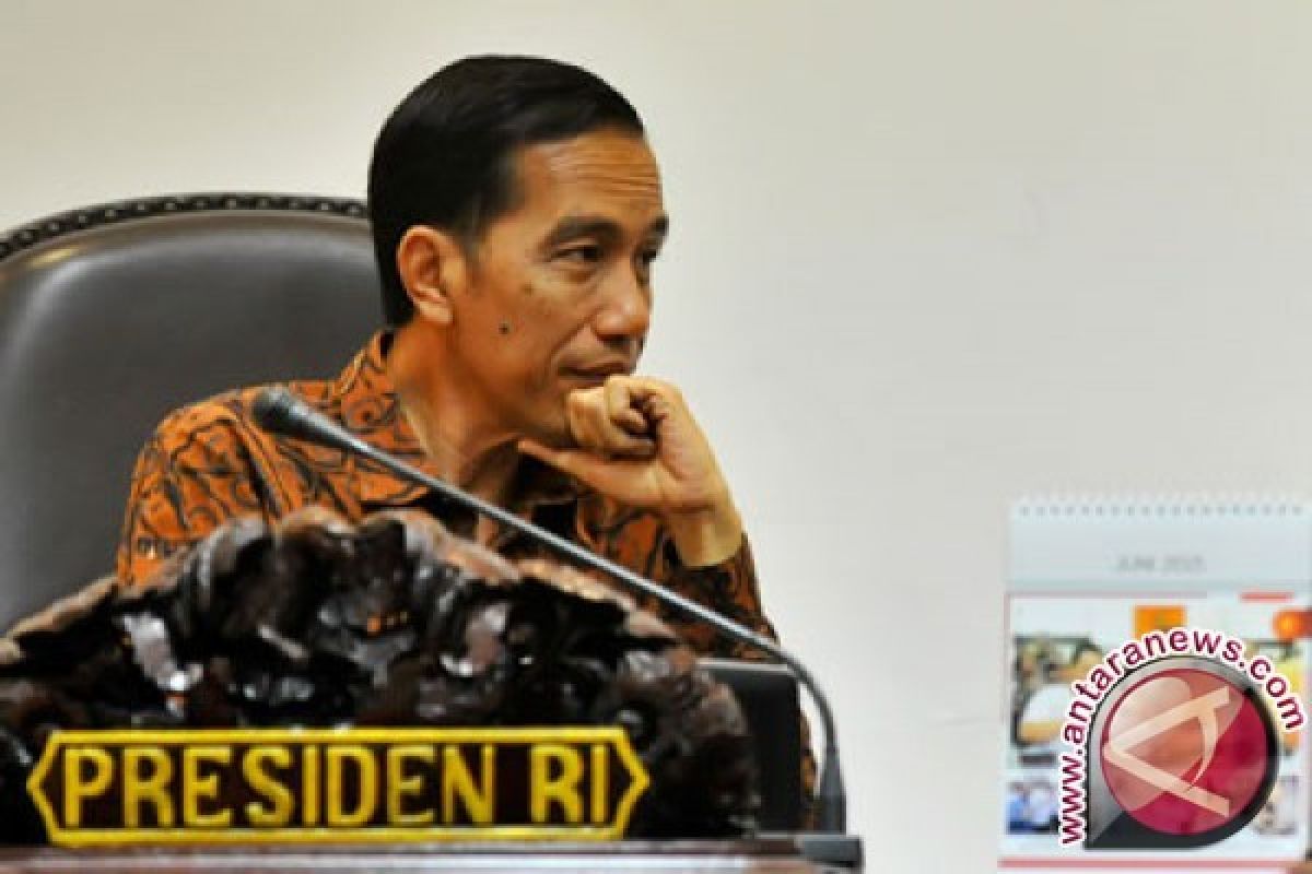  Presiden Jokowi minta potensi daerah perbatasan agar dioptimalkan