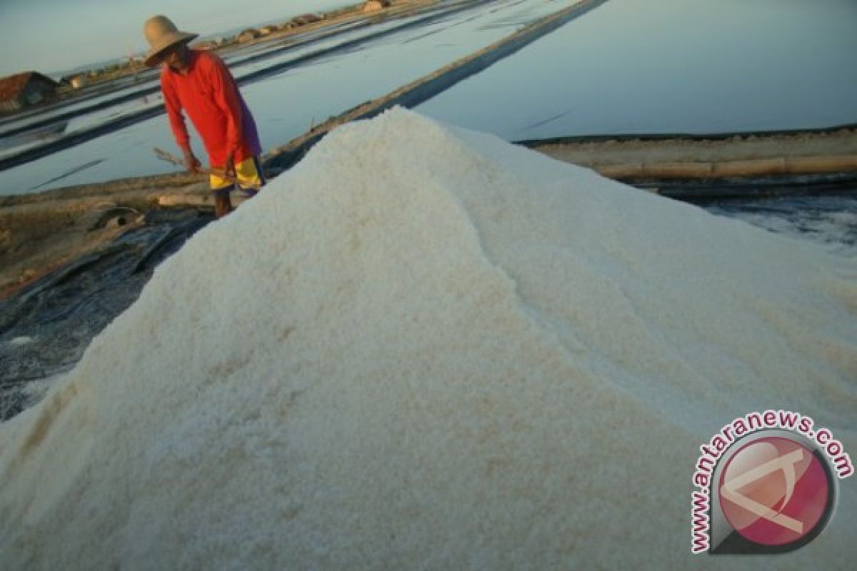 Industri bertekad tingkatkan serapan garam lokal 5-10 persen