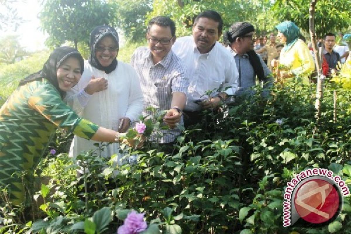 Rismaharini Pamer Taman Harmoni Ke Rombongan Senator