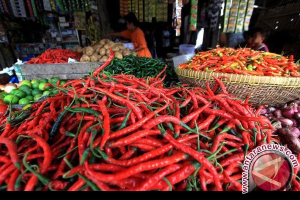 Harga Cabai Merah di Tanjungpinang Rp54.000/Kg