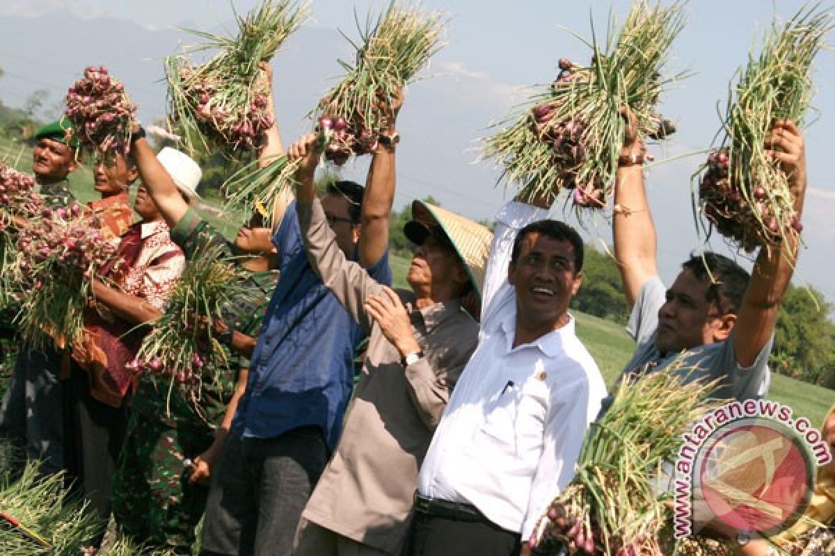 Mentan: pemerintah tidak akan impor bawang merah