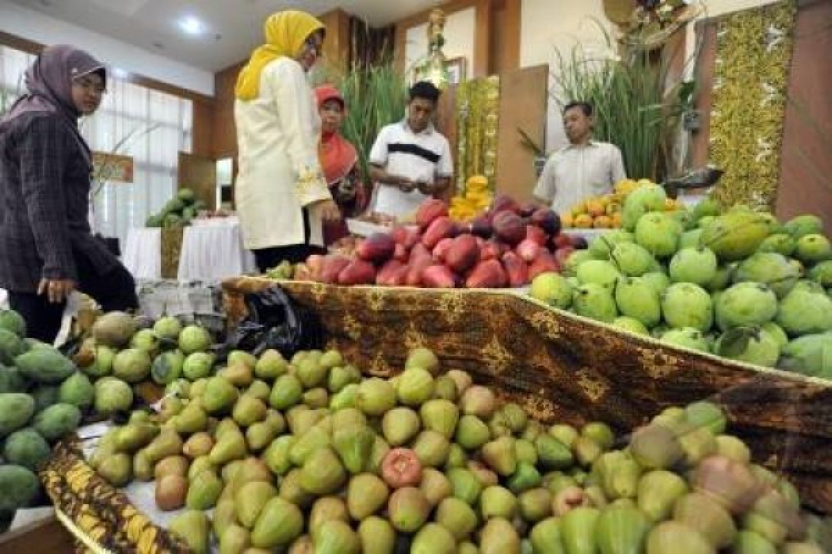 Hortikultura Perkecil Turunnya Nilai Tukar Petani Banten