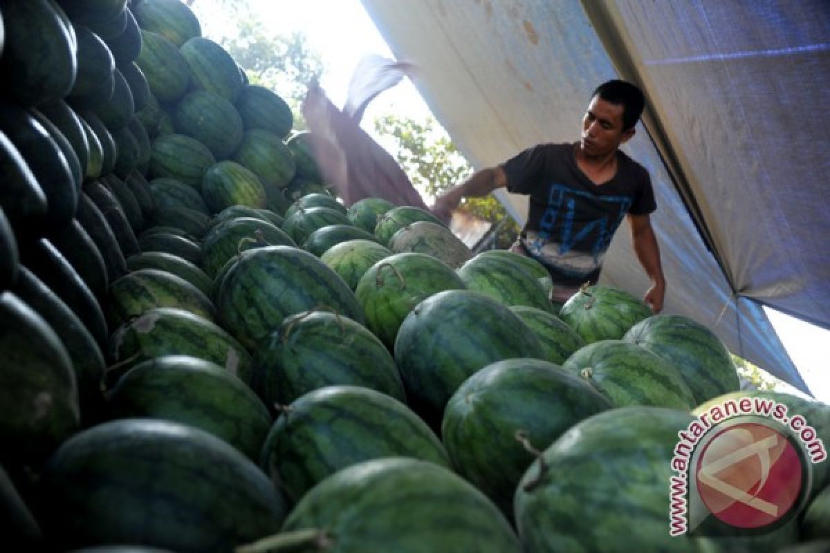 Pedagang buah akui daya beli masyarakat tinggi