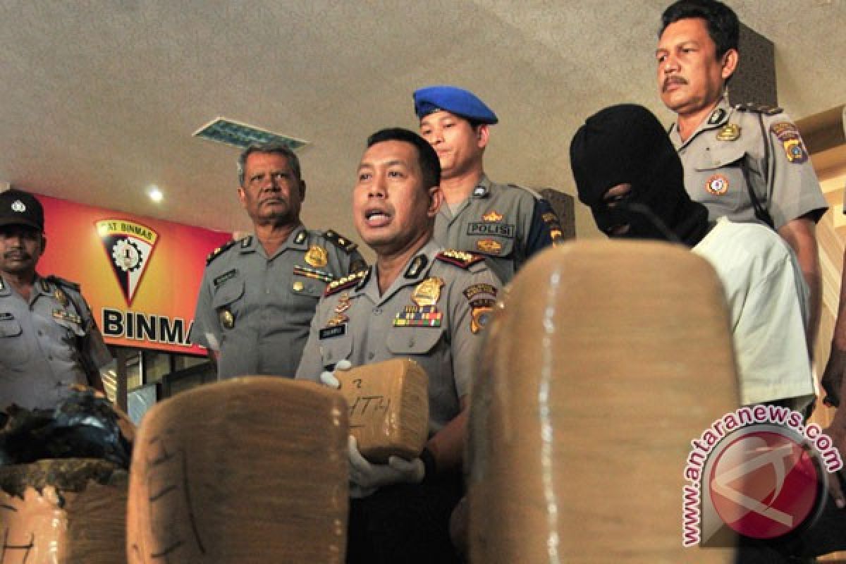 BNN tangkap anggota sindikat narkoba pembawa 232 kg ganja