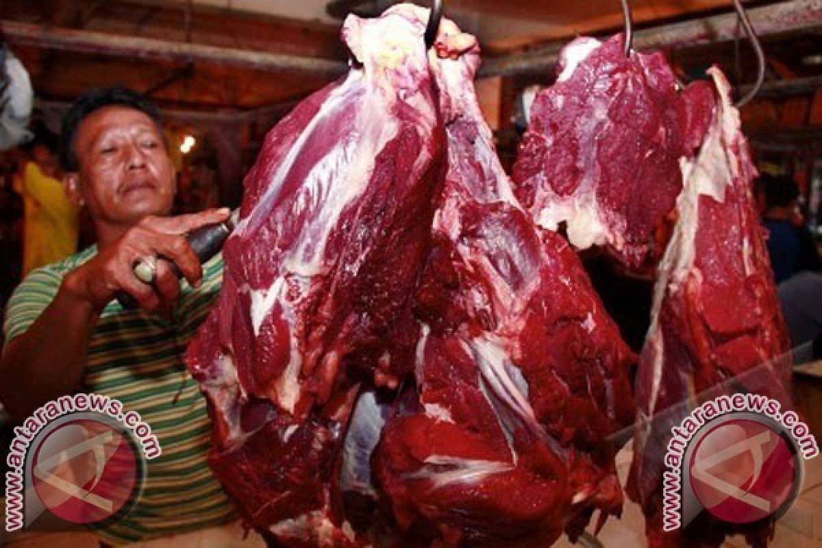Harga daging sapi di Jayapura stabil