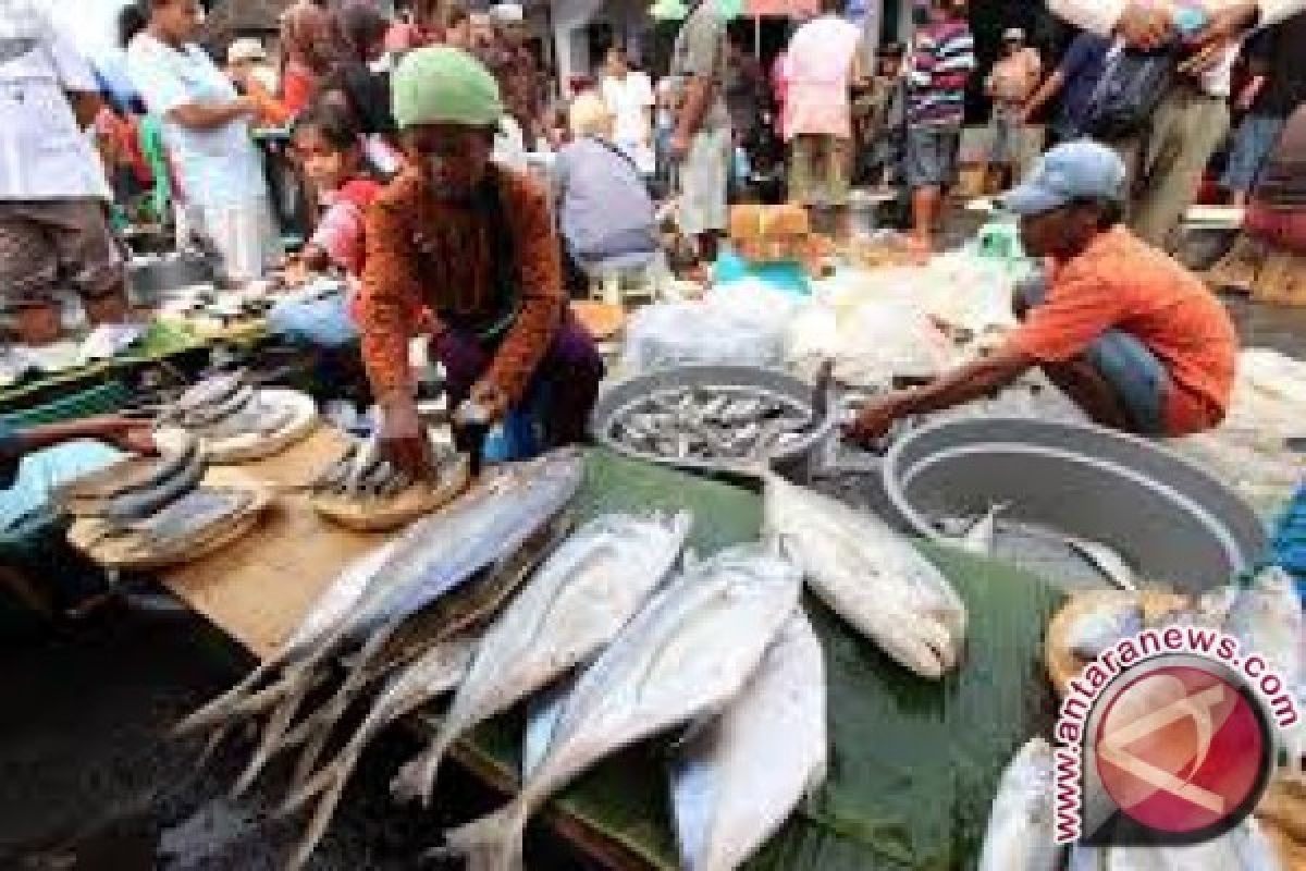 DKP Jambi cek kondisi ikan dipasaran 