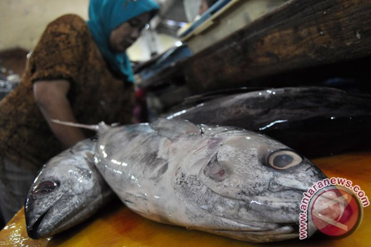 Cara ikan melepaskan diri dari nelayan