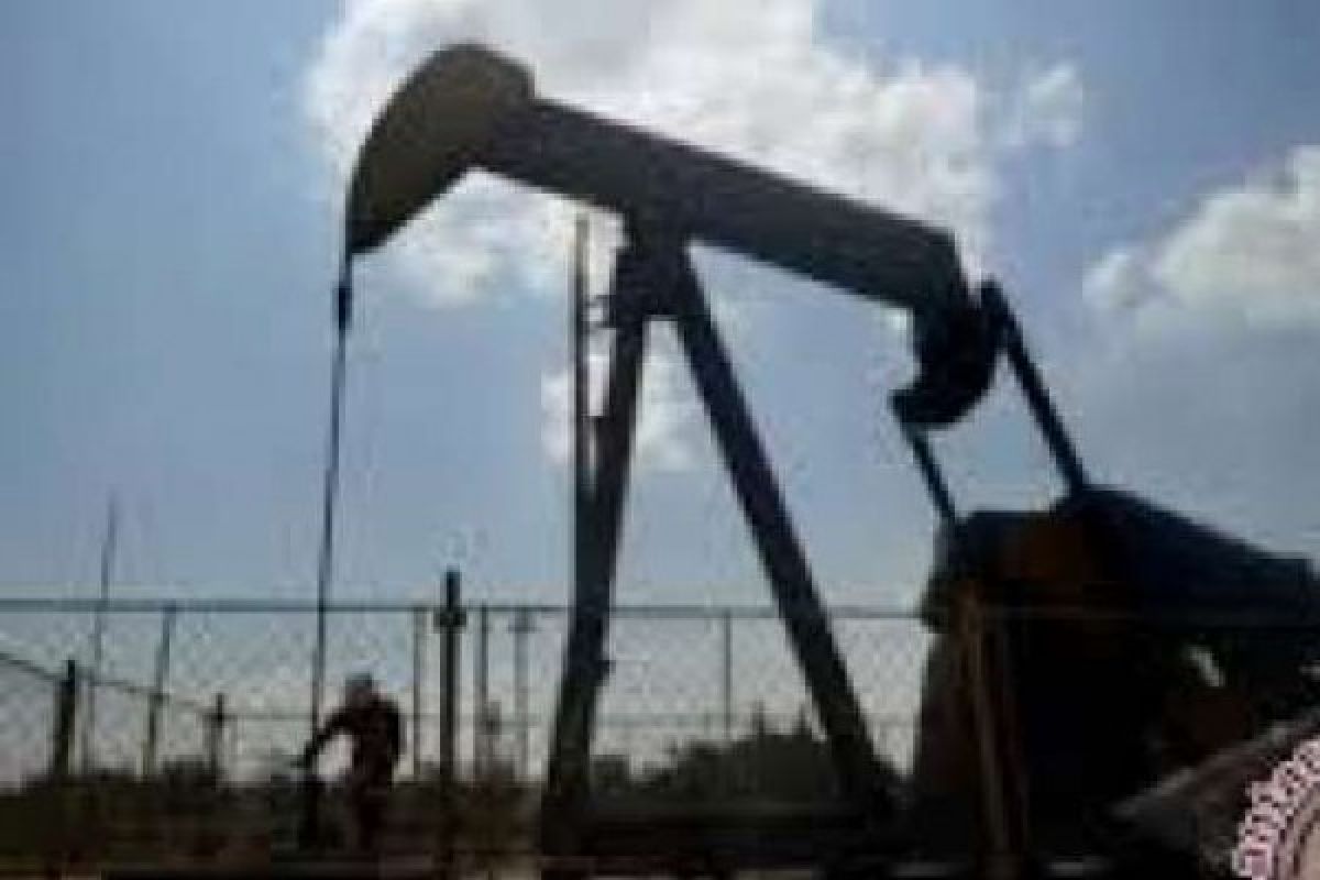 Kadar Minyak Chevron Minas Hanya Satu Persen