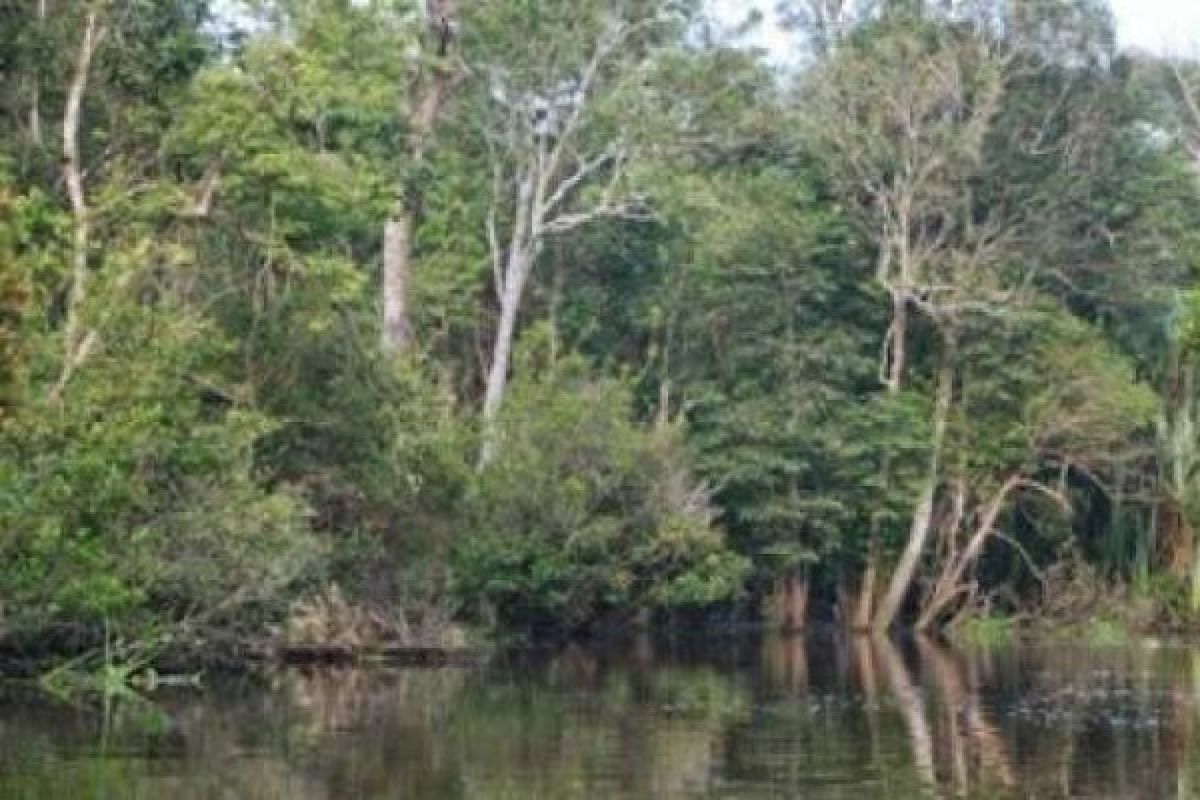 Objek Wisata Indragiri Hulu Jadi Sorotan Warga