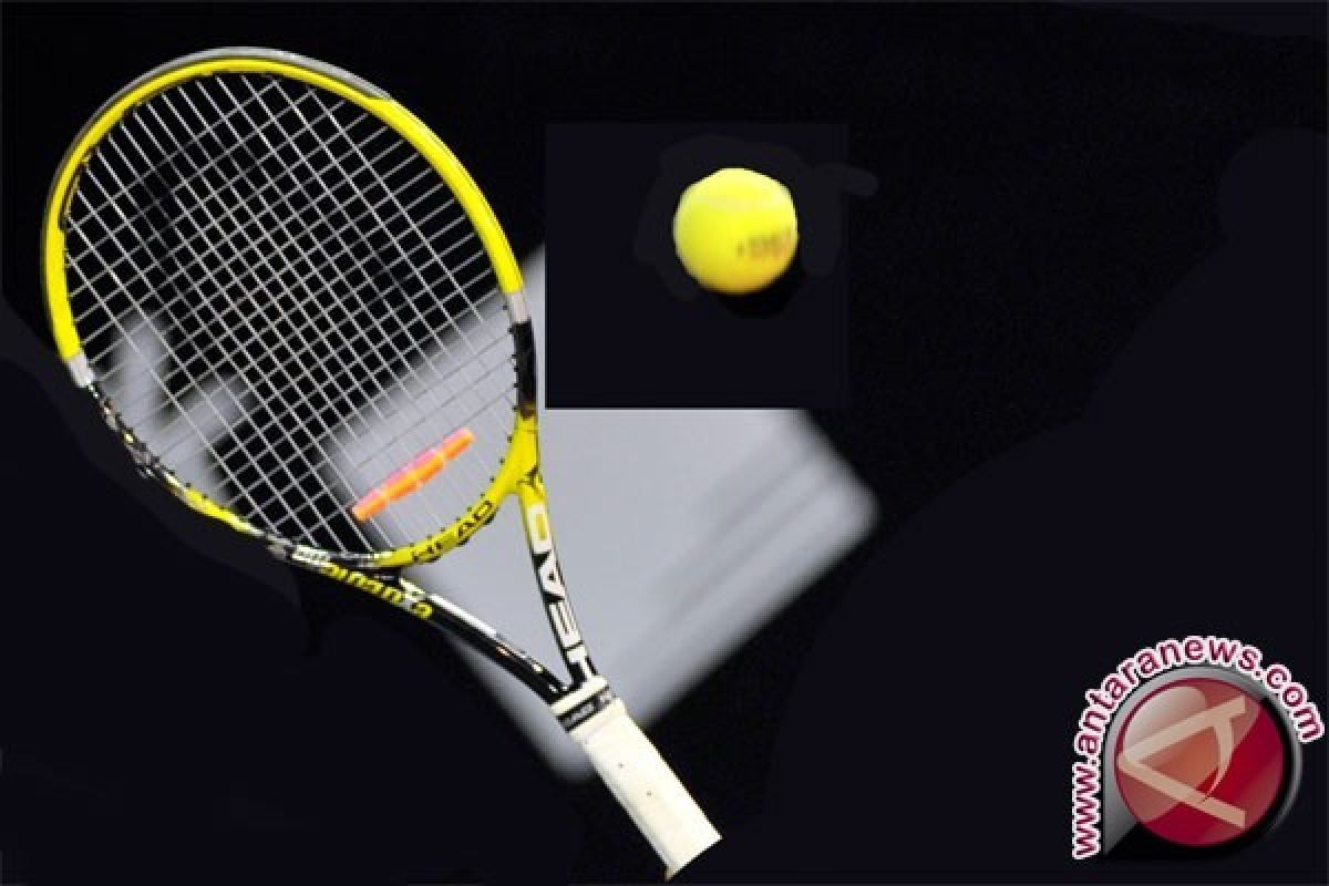 Petenis Ceko Strycova amankan semifinal Grand Slam pertamanya di Wimbledon